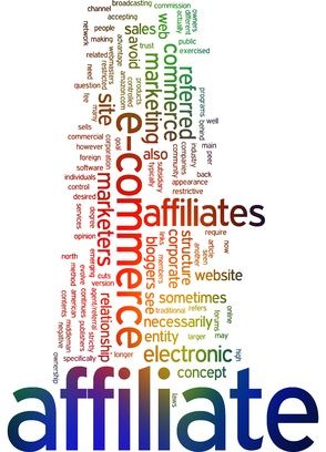 Orientadorweb afiliación 2